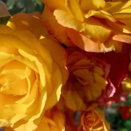 De La Rocherie D'hotes 